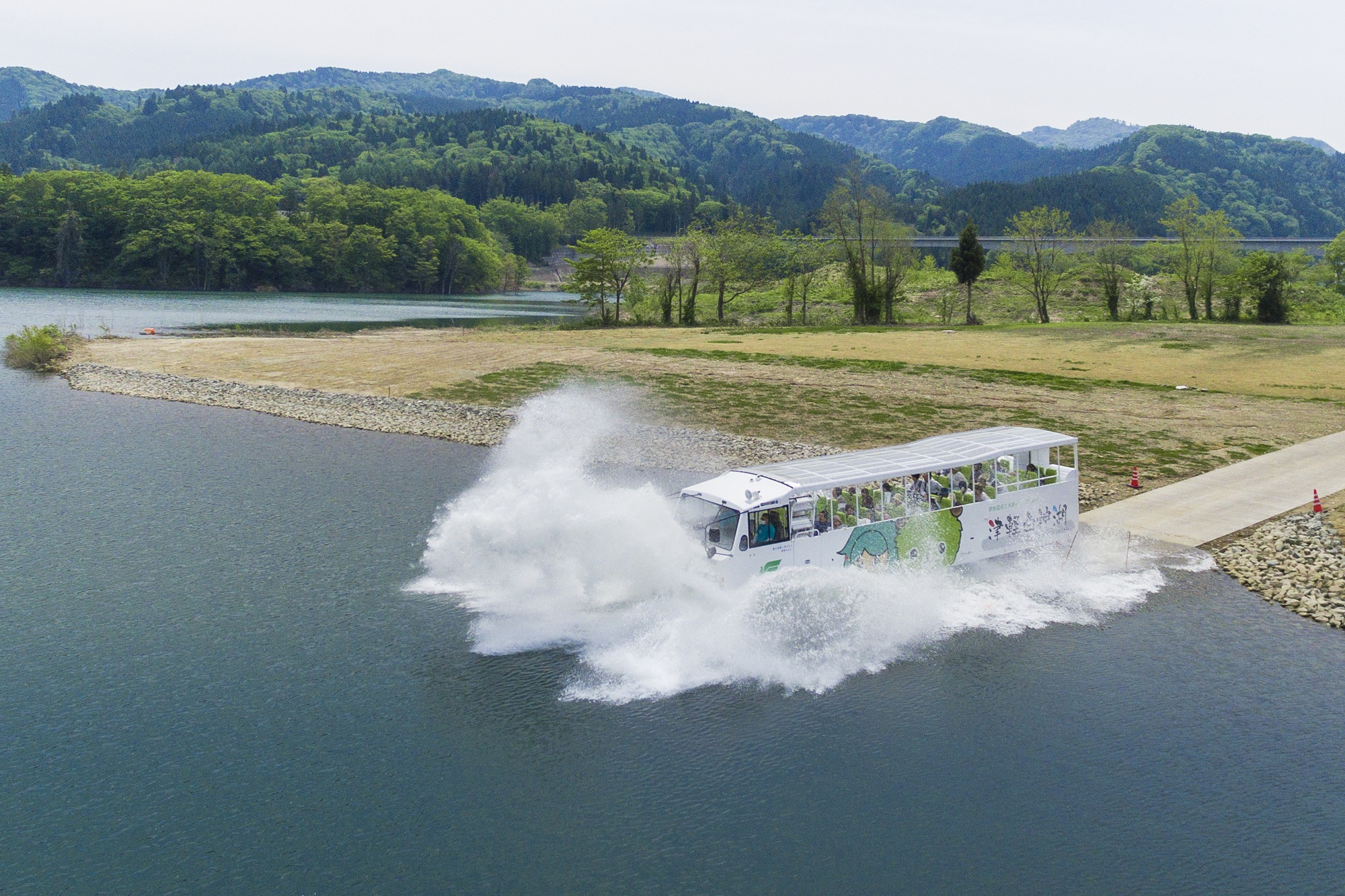 上大内沢自然観察教育林・コブ杉