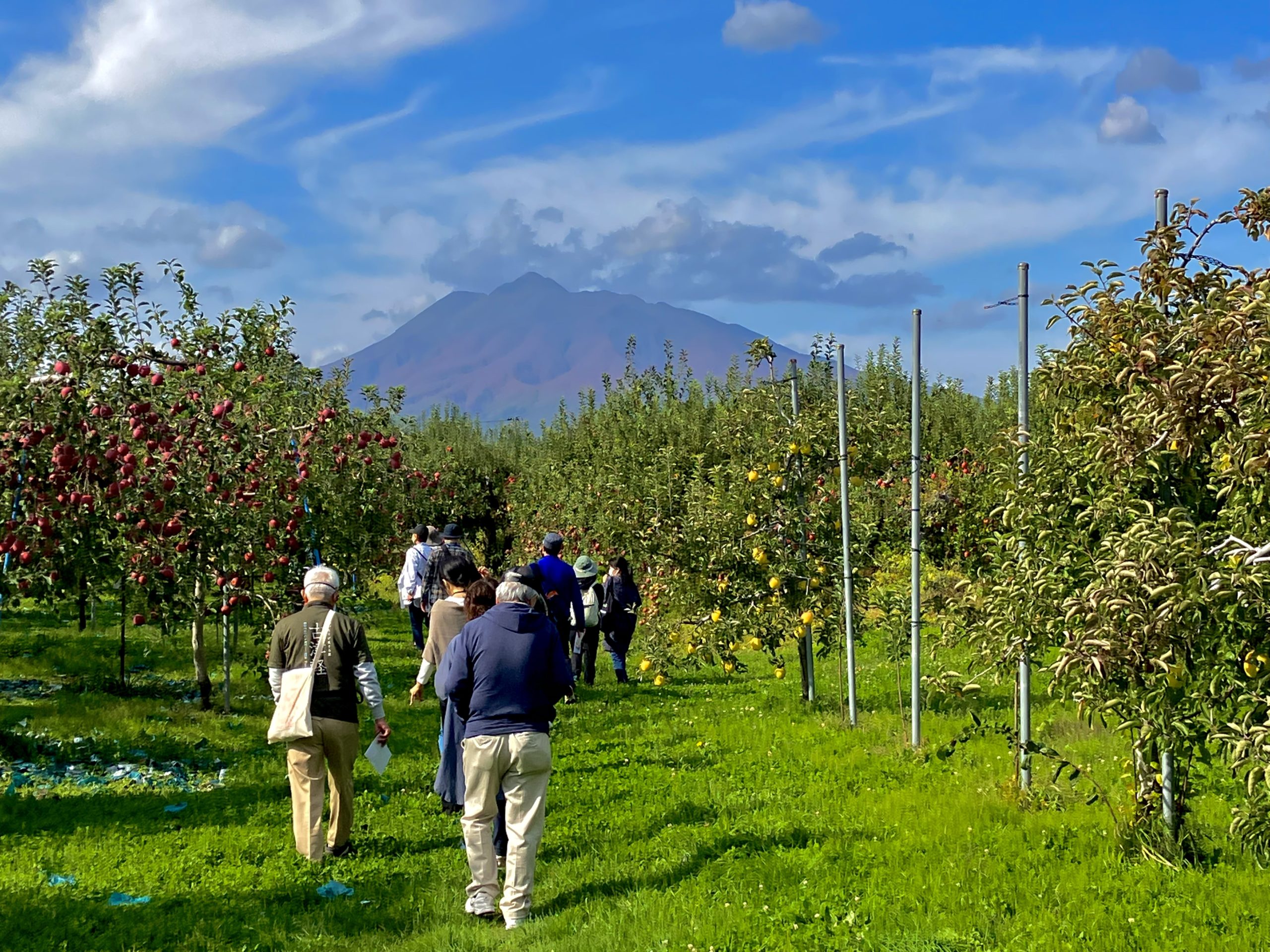 サイクリングまちあるき「りんご畑に浮かぶ町をかける」