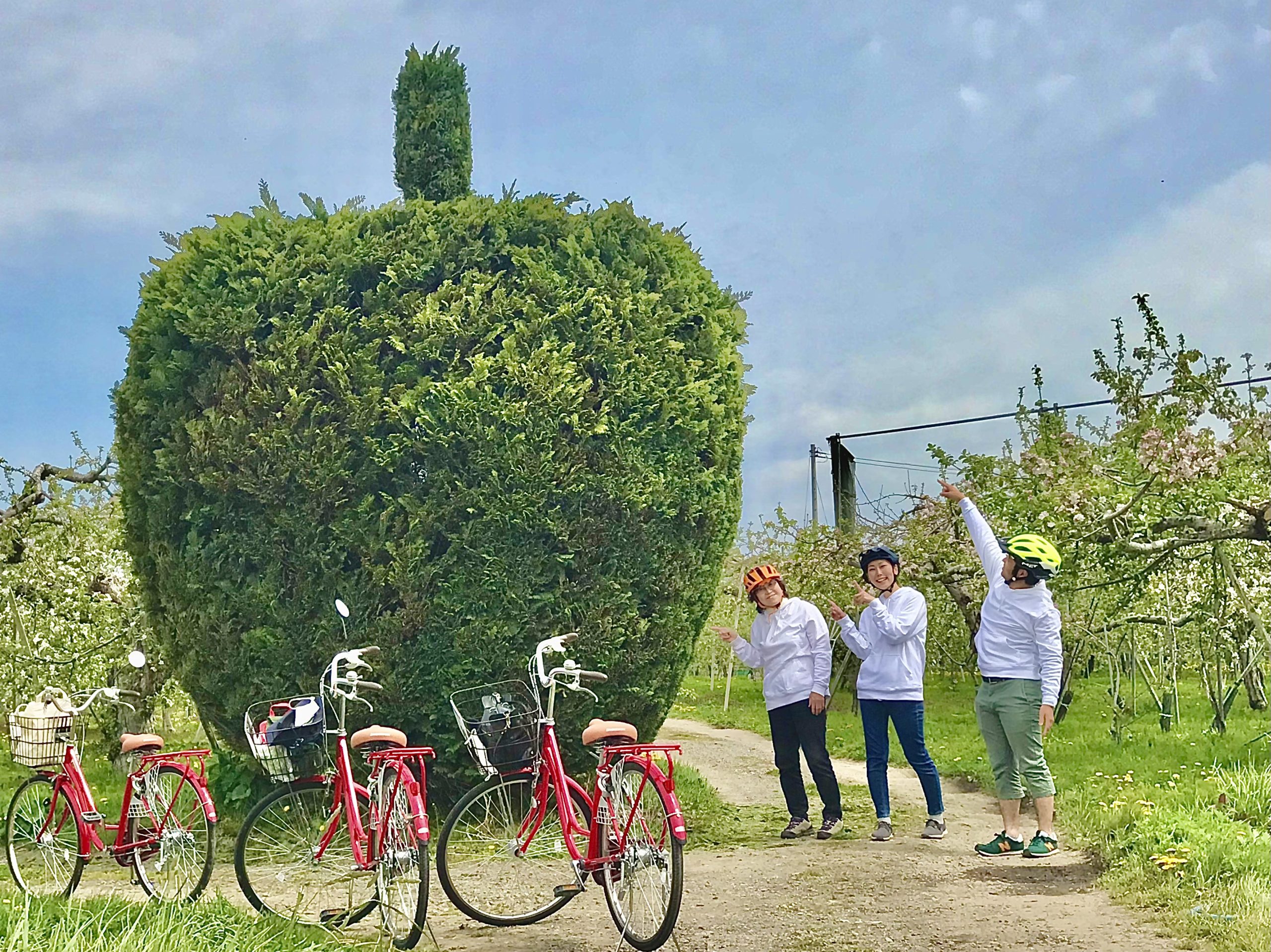 サイクリングまちあるき「りんご畑に浮かぶ町をかける」